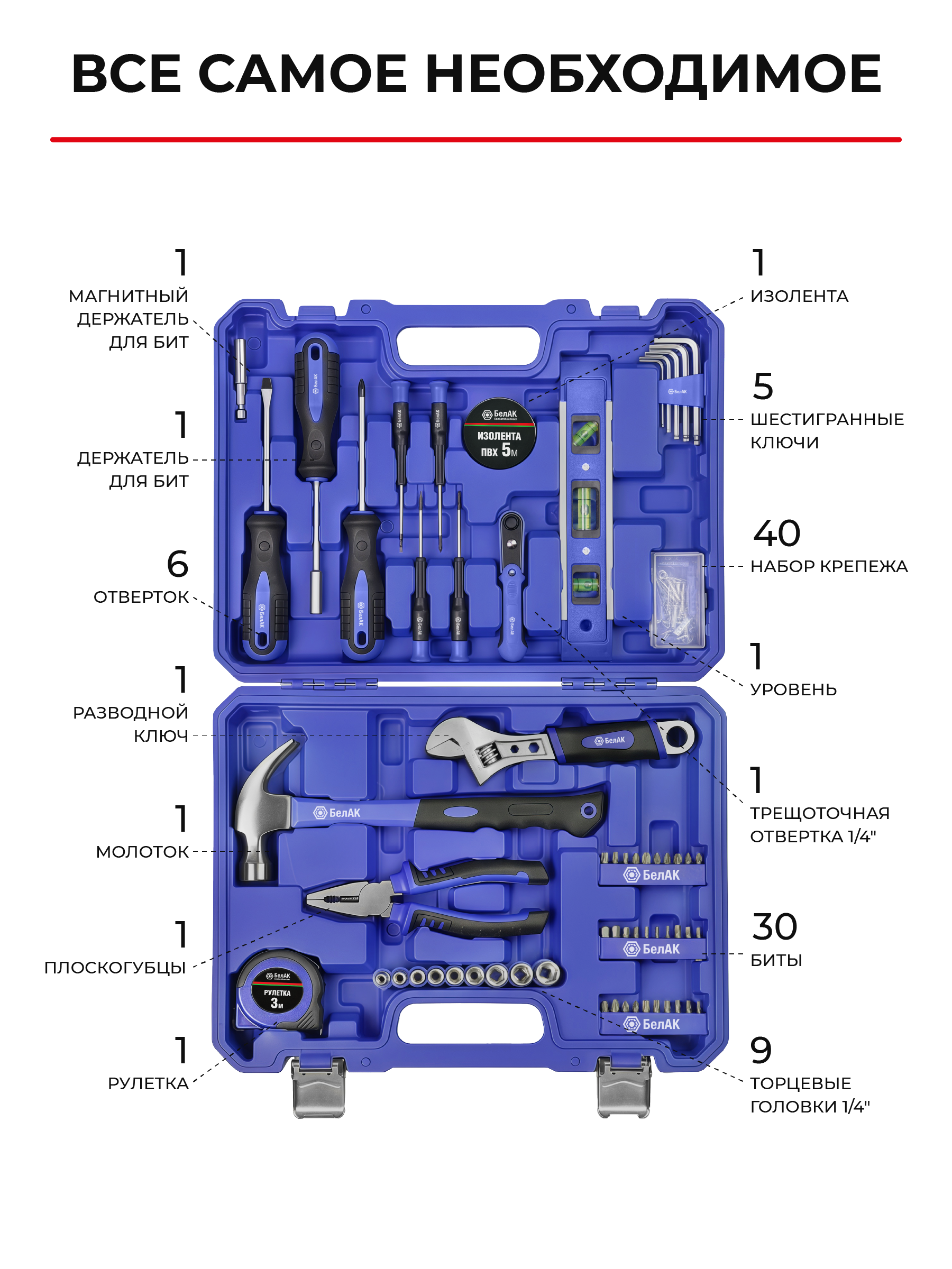 Набор инструментов ПРОФИ, 100 предм."БелАК"