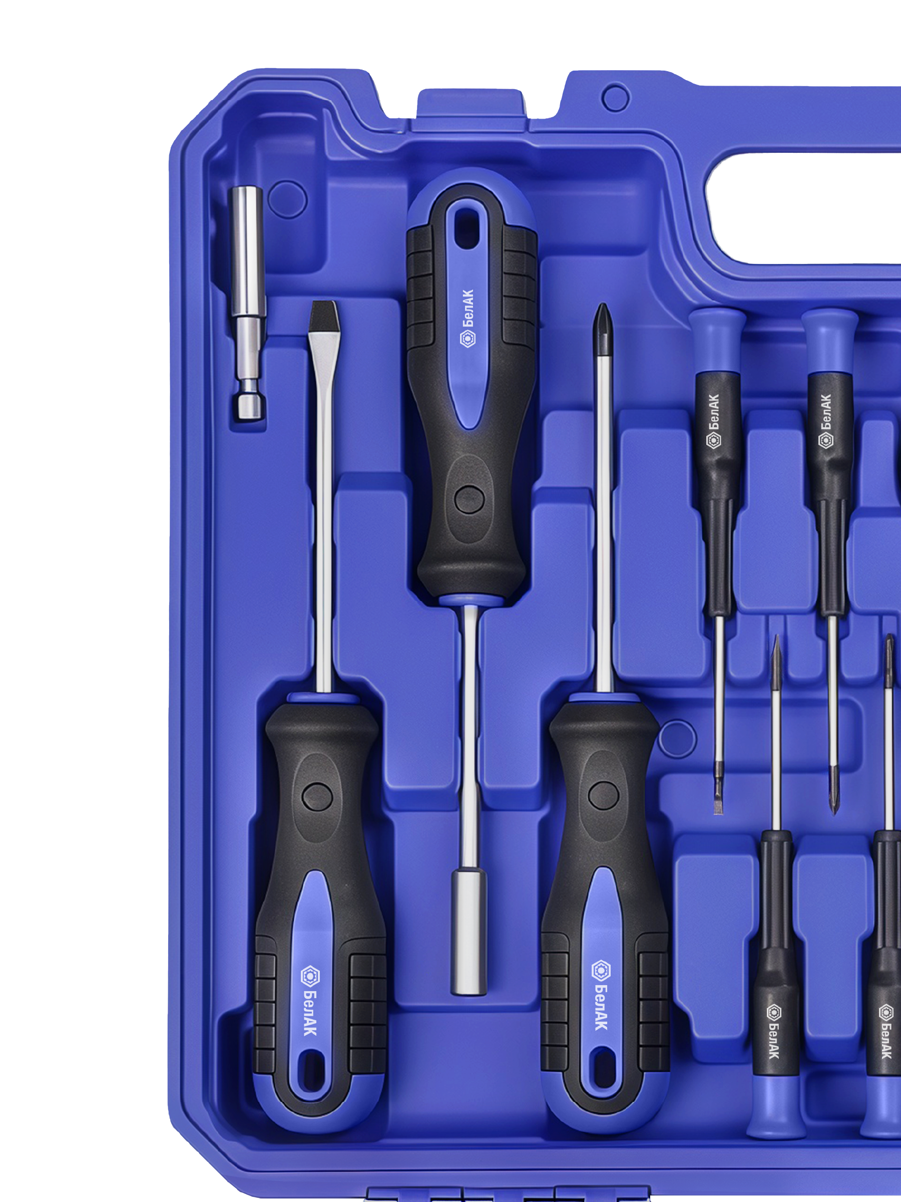 Набор инструментов ПРОФИ, 100 предм."БелАК"